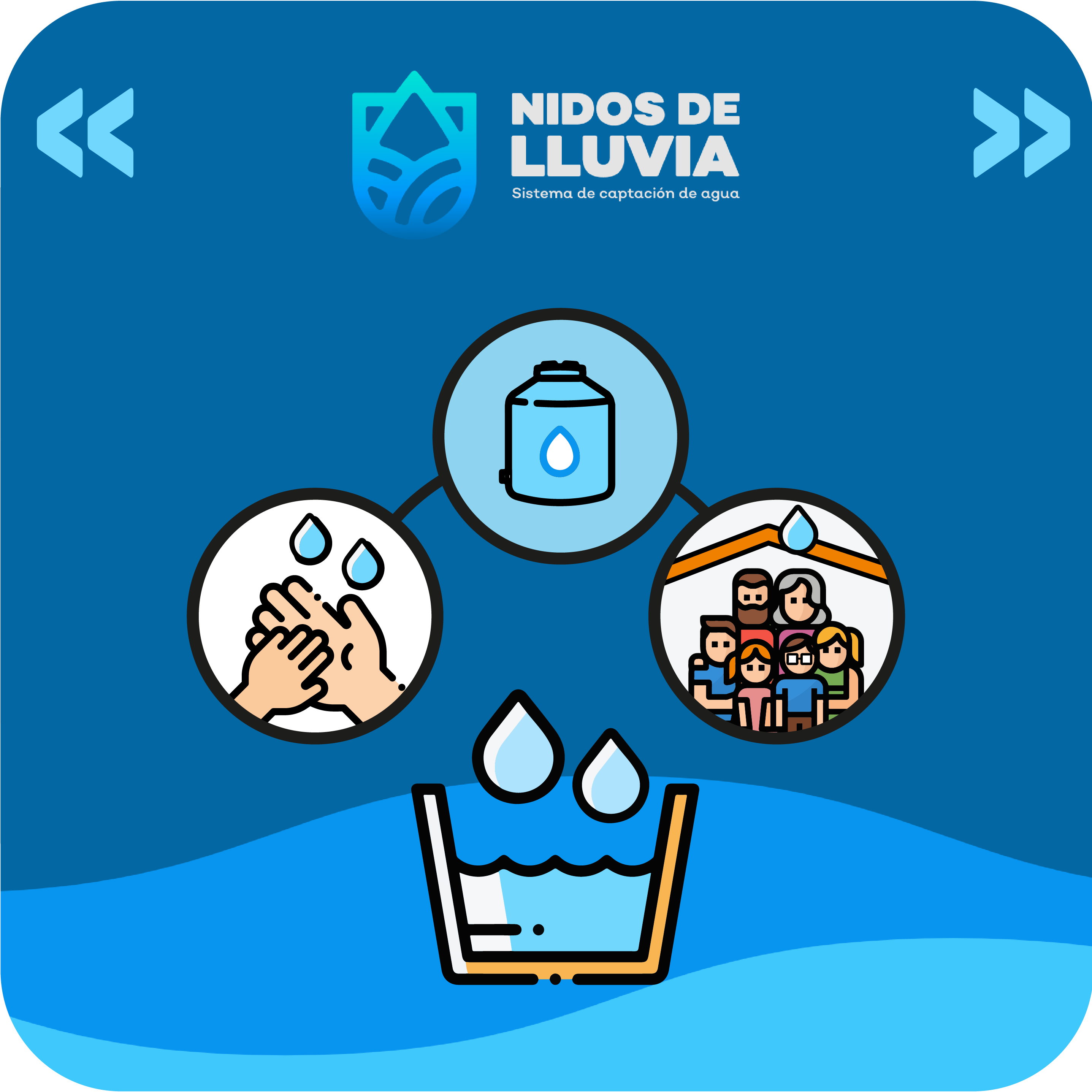 Nido de lluvia